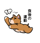 犬のタメさん語る（個別スタンプ：31）