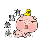 Pig who like to play in water（個別スタンプ：4）