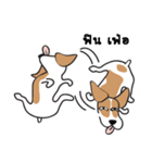 Auon（個別スタンプ：15）