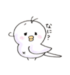しろインコのいろいろ（個別スタンプ：1）