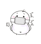 しろインコのいろいろ（個別スタンプ：5）