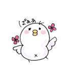 しろインコのいろいろ（個別スタンプ：7）