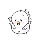 しろインコのいろいろ（個別スタンプ：11）
