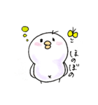 しろインコのいろいろ（個別スタンプ：15）