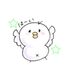 しろインコのいろいろ（個別スタンプ：17）