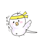 しろインコのいろいろ（個別スタンプ：26）
