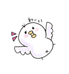 しろインコのいろいろ（個別スタンプ：30）