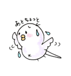 しろインコのいろいろ（個別スタンプ：31）