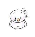 しろインコのいろいろ（個別スタンプ：34）