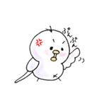しろインコのいろいろ（個別スタンプ：38）