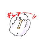 しろインコのいろいろ（個別スタンプ：39）