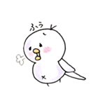 しろインコのいろいろ（個別スタンプ：40）