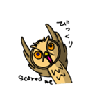 HARDBOILED OWL（個別スタンプ：18）