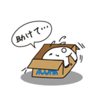 アコマベアー スタンプ（個別スタンプ：16）