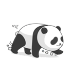 潘達圓仔 Panda Yuan-Zai（個別スタンプ：8）