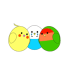ことりカフェの小鳥たちvol.1（個別スタンプ：27）