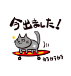 灰色猫の毎日（個別スタンプ：1）