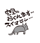 灰色猫の毎日（個別スタンプ：4）