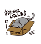 灰色猫の毎日（個別スタンプ：8）