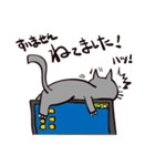 灰色猫の毎日（個別スタンプ：11）