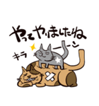 灰色猫の毎日（個別スタンプ：24）