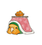 毎日インコ（個別スタンプ：4）