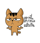 Bad Cat CATDY（個別スタンプ：16）