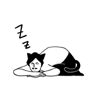 髭猫さん（個別スタンプ：13）