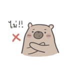 Mr. bear and his cutie cat（個別スタンプ：10）