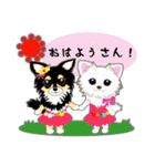 Chihuahua of Kansai dialect（個別スタンプ：1）