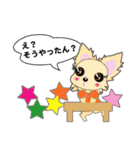 Chihuahua of Kansai dialect（個別スタンプ：6）