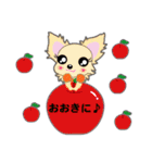 Chihuahua of Kansai dialect（個別スタンプ：8）