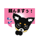 Chihuahua of Kansai dialect（個別スタンプ：10）