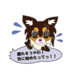 Chihuahua of Kansai dialect（個別スタンプ：11）