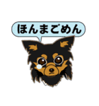 Chihuahua of Kansai dialect（個別スタンプ：12）