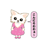 Chihuahua of Kansai dialect（個別スタンプ：16）