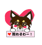 Chihuahua of Kansai dialect（個別スタンプ：17）