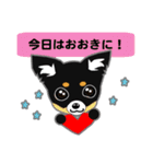 Chihuahua of Kansai dialect（個別スタンプ：19）