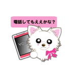 Chihuahua of Kansai dialect（個別スタンプ：20）