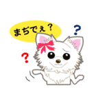 Chihuahua of Kansai dialect（個別スタンプ：21）