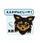 Chihuahua of Kansai dialect（個別スタンプ：22）