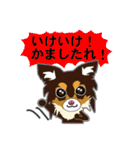 Chihuahua of Kansai dialect（個別スタンプ：27）