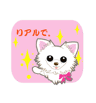 Chihuahua of Kansai dialect（個別スタンプ：31）