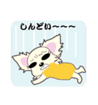 Chihuahua of Kansai dialect（個別スタンプ：33）