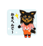 Chihuahua of Kansai dialect（個別スタンプ：34）