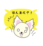 Chihuahua of Kansai dialect（個別スタンプ：37）