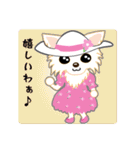 Chihuahua of Kansai dialect（個別スタンプ：39）