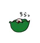 まめつぶのスタンプ（個別スタンプ：13）
