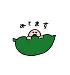 まめつぶのスタンプ（個別スタンプ：14）