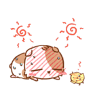 Cute Hamster an Emoticon（個別スタンプ：39）